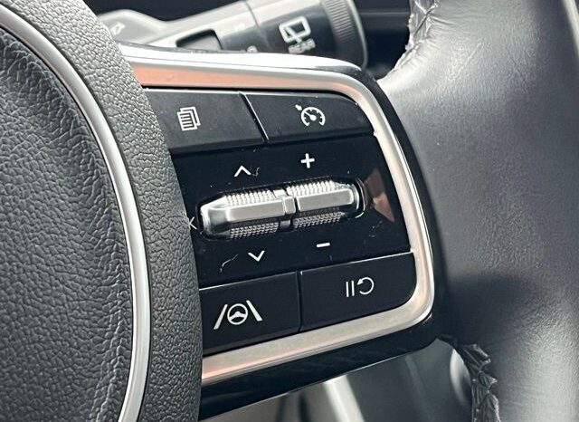 
 Kia Carnival full									