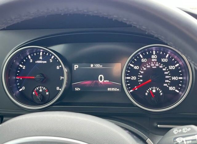 
 Kia Carnival full									