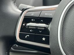 
 Kia Carnival full									
