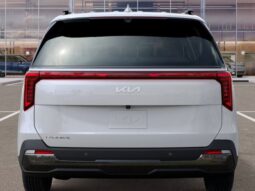 
 Kia Carnival full									
