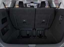 
 Kia Carnival full									
