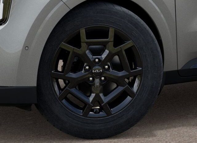 
 Kia Carnival Hybrid full									