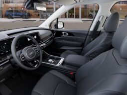 
 Kia Carnival Hybrid full									