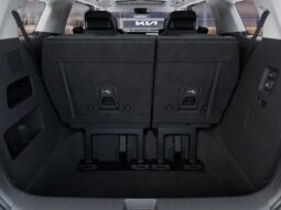 
 Kia Carnival Hybrid full									