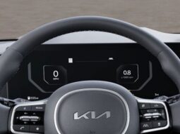 
 Kia Carnival Hybrid full									