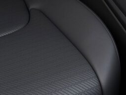 
 Kia Carnival Hybrid full									