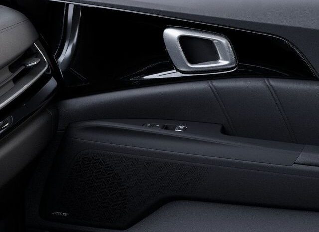 
 Kia Carnival Hybrid full									