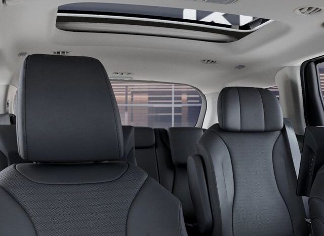 
 Kia Carnival Hybrid full									