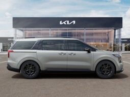 
 Kia Carnival Hybrid full									