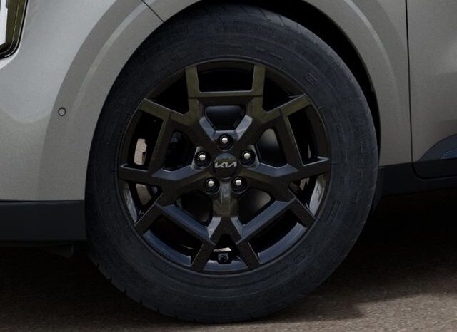 
 Kia Carnival Hybrid full									