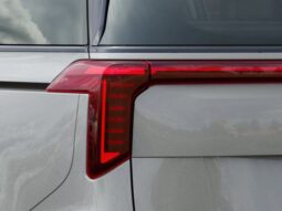 
 Kia Carnival Hybrid full									