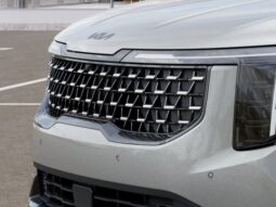 
 Kia Carnival Hybrid full									