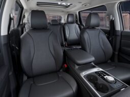 
 Kia Carnival Hybrid full									