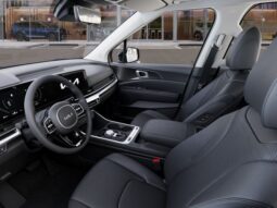 
 Kia Carnival Hybrid full									