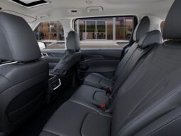 
 Kia Carnival Hybrid full									