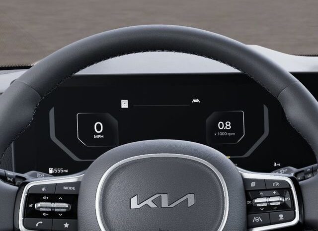 
 Kia Carnival Hybrid full									