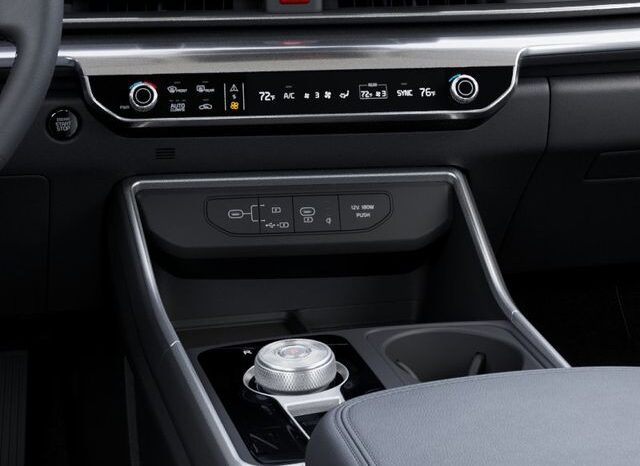 
 Kia Carnival Hybrid full									