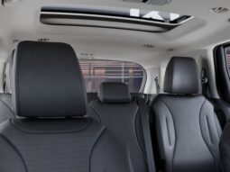
 Kia Carnival Hybrid full									