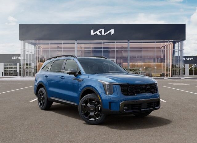 
 Kia Sorento Hybrid full									