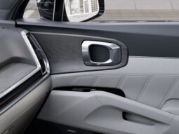 
 Kia Sorento Hybrid full									