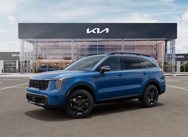 
 Kia Sorento Hybrid full									