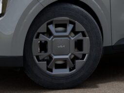 
 Kia Carnival Hybrid full									