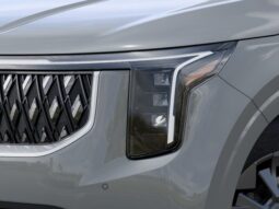 
 Kia Carnival Hybrid full									