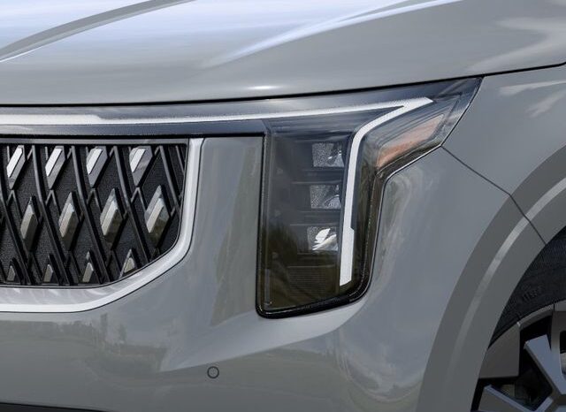 
 Kia Carnival Hybrid full									