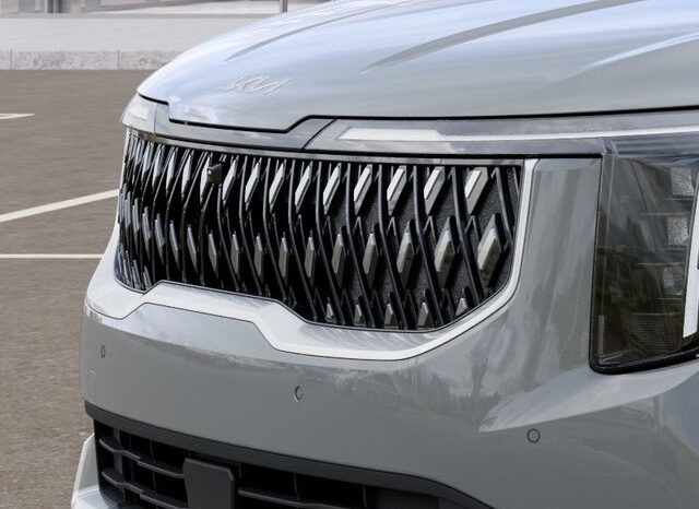 
 Kia Carnival Hybrid full									