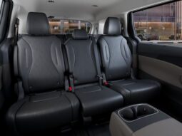 
 Kia Carnival Hybrid full									