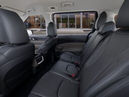 
 Kia Carnival Hybrid full									