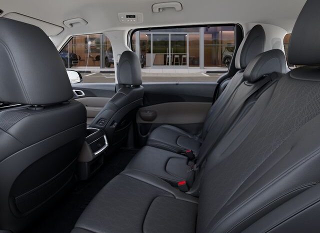 
 Kia Carnival Hybrid full									