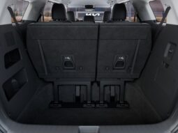 
 Kia Carnival Hybrid full									