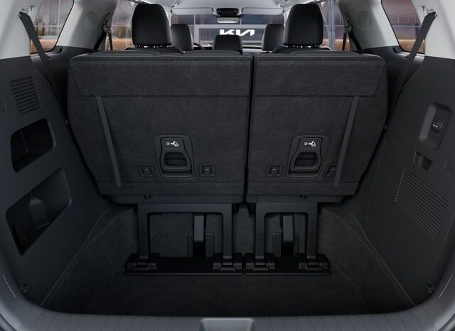 
 Kia Carnival Hybrid full									