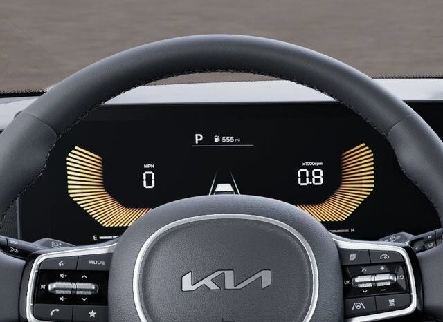 
 Kia Carnival Hybrid full									