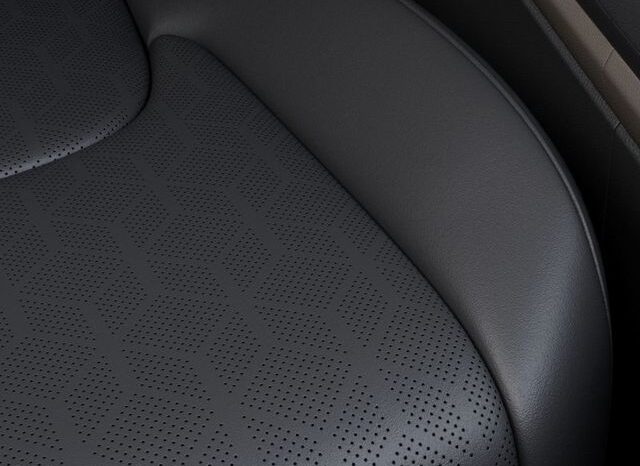 
 Kia Carnival Hybrid full									