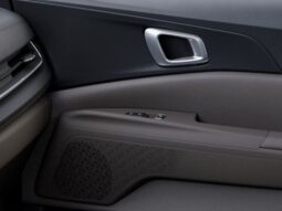 
 Kia Carnival Hybrid full									