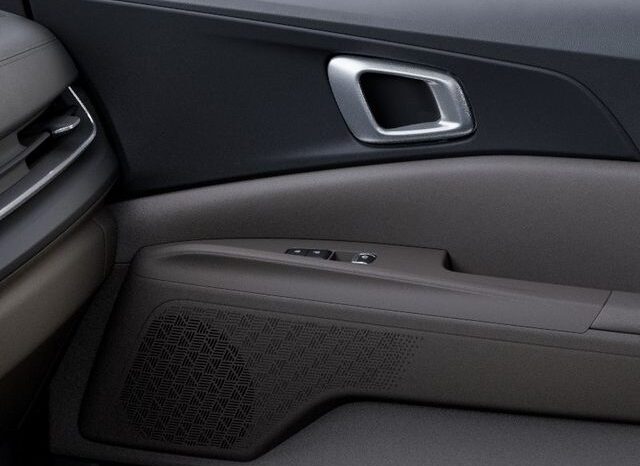 
 Kia Carnival Hybrid full									