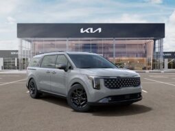 
 Kia Carnival Hybrid full									