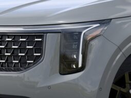 
 Kia Carnival Hybrid full									