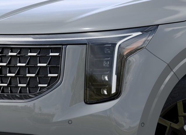 
 Kia Carnival Hybrid full									