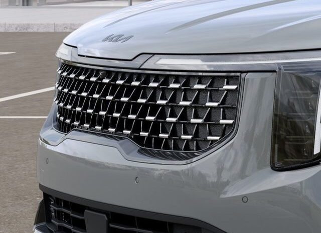 
 Kia Carnival Hybrid full									