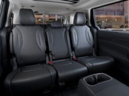 
 Kia Carnival Hybrid full									