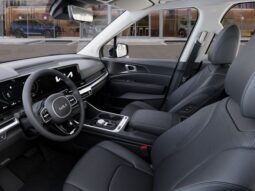 
 Kia Carnival Hybrid full									