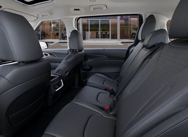 
 Kia Carnival Hybrid full									