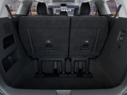 
 Kia Carnival Hybrid full									