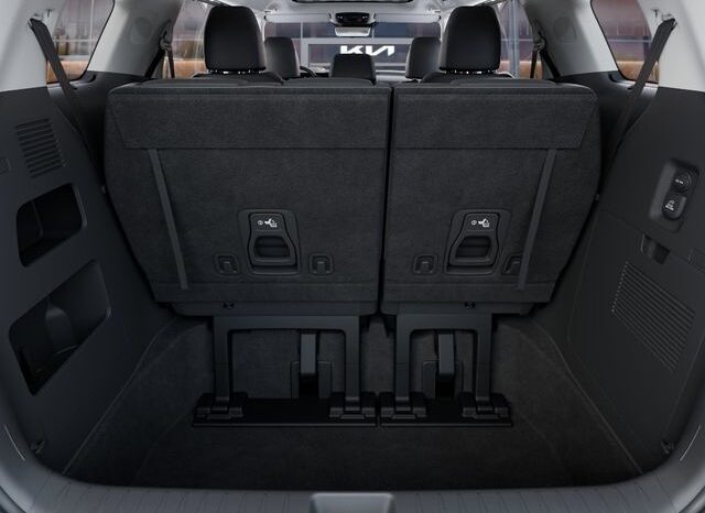 
 Kia Carnival Hybrid full									