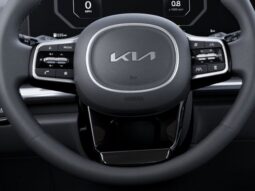 
 Kia Carnival Hybrid full									