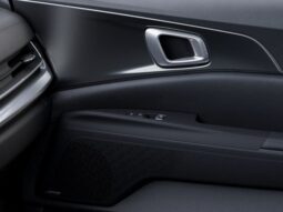 
 Kia Carnival Hybrid full									