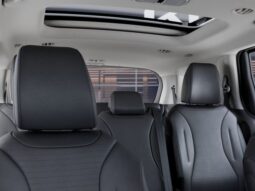 
 Kia Carnival Hybrid full									